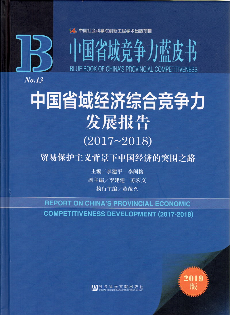 黑鸡巴操大黑逼免费视频网站中国省域经济综合竞争力发展报告（2017-2018）