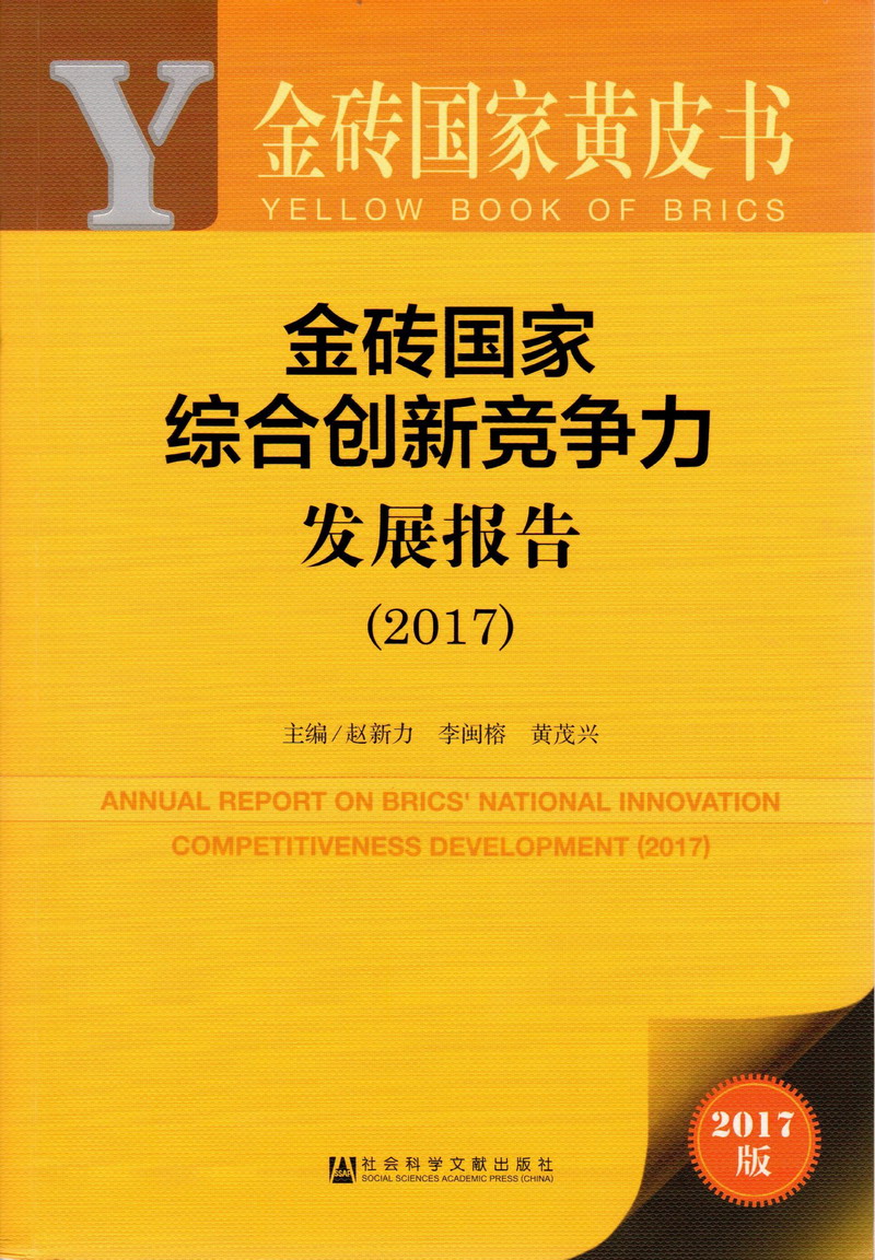 亚洲男人和美女插入操爆射精AV网站金砖国家综合创新竞争力发展报告（2017）